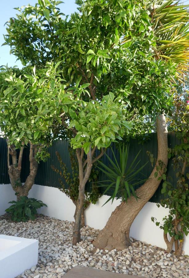 Villa A Sul Albufeira Dış mekan fotoğraf